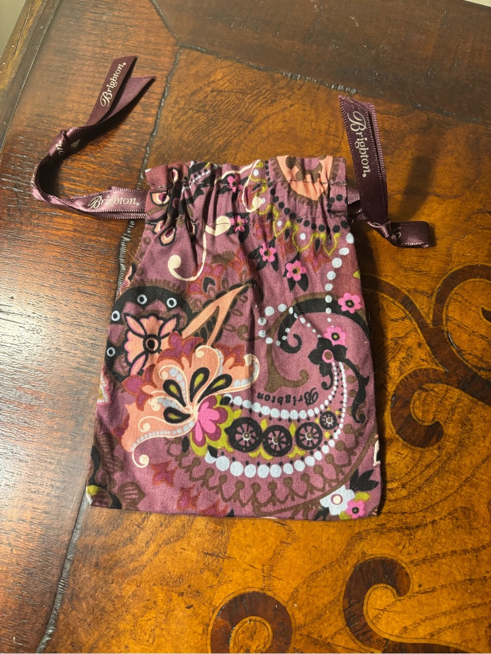 Brighton Paisley Drawstring Pouch